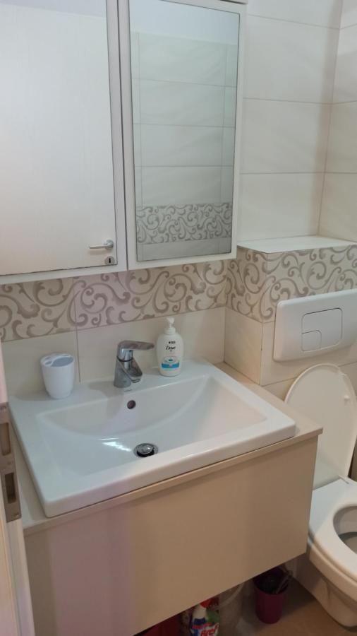 Cozy Home Bujorilor Timisoara Ngoại thất bức ảnh